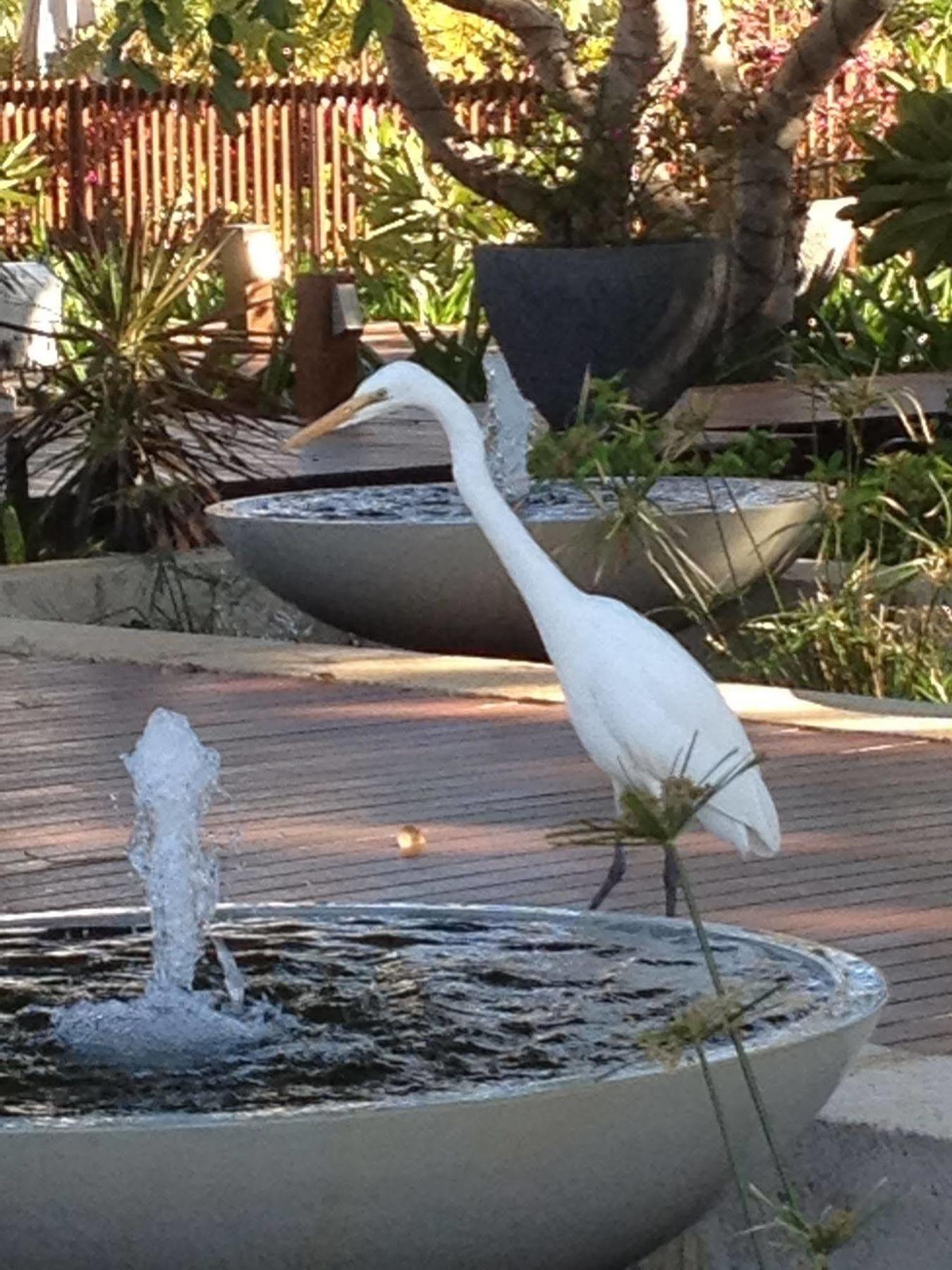 Resort The Billi
